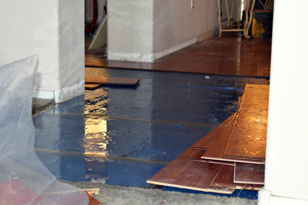 Professional Water Damage Restoration technician working in Hadlyme, CT
